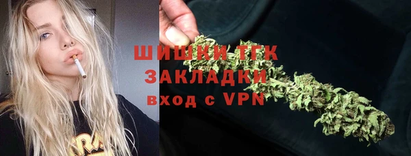 молекула духа Болохово