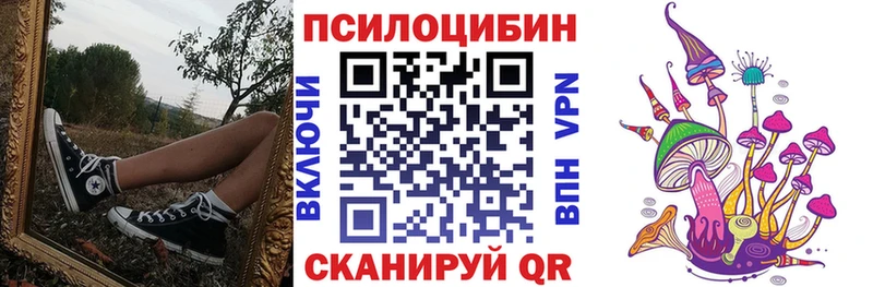 Псилоцибиновые грибы Cubensis купить цена мега онион Кондрово